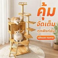 ราคา คอนโดแมว โครงปีนป่ายแมว สำหรับแมวขาสั้น มันช์กิ้น หลายชั้น ฐานกว้าง แข็งแรง บ้านแมวใหญ่ แคปซูลใส (47813103207)