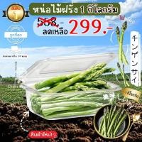 ราคา Oishi-Fresh หน่อไม้ฝรั่ง ปลอดสารพิษ 1 กก. รสชาติกรอบ สด ใหม่ ใยอาหารสูง หวานออร์แกนิค เคลมได้ 1-2 วัน (25390416235)