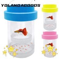 ราคา YOLA กล่องฟักลอย, ตาข่ายพลาสติกกุ้ง Guppy Aquarium Breeder กล่อง, ห้องเพาะพันธุ์โปร่งใสที่ถอดออกได้ปลาลอย Breeder สําหรับ Aquarium Breeder (48363526584)