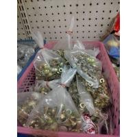 ราคา น็อตขันเหล็กฉาก น๊อตเหล็กฉาก น๊อตขันชั้นวางของ สกรูยึดเหล็กฉาก (48912791245)