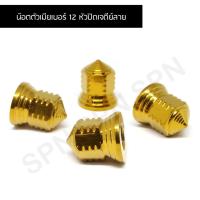 ราคา น๊อตตัวเมียเบอร์ 12 หัวปิดเจดีย์ลาย น๊อตฝาสูบ (8057311734)