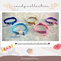 ราคา ปลอกคอแมวสลักชื่อและเบอร์โทรฟรี (27178863896)