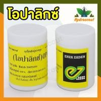 ราคา เมล็ดพันธุ์ผักสลัดเรดโอ๊ค โอปาลิกซ์ (Red Oak Opalix) ชนิดเคลือบ 1000 เมล็ด by hydroscout (12369527016)