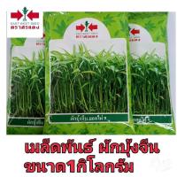 ราคา พันธุ์ผักบุ้งจีน ยอดไผ่9 ตราศรแดง ขนาด1กิโลกรัม (28550818109)