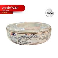 ราคา Big Home : สายไฟ VAF 2x1.5 สีขาว 100ม.(ม้วน) BCC (28926402193)