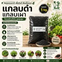 ราคา แกลบดำ ขี้เถ้าแกลบ 1 kg. แกลบเผา ผสมดิน เพิ่มความโปร่ง little tree factory L9T (40157299958)