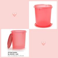 ราคา กระป๋องยักษ์ พีช**** (48656842408)