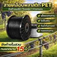 ราคา (โปรโมชั่น) ลวดพลาสติก PET แข็งแรง ทนทาน ใช้มัดต้นไม้ ค้างพริก ค้างมะเขือเทศ ดัดบอนไซ กันUV ยกม้วน จัดส่งไว (49607688913)