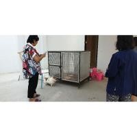 ราคา กรงสุนัขเบอร์3พื้นไม้ มีมุ้งลวดและล้อเลื่อน (9712688130)