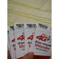 ราคา ซิมเทพ ซิมทรู 4G เน็ตแรง 4Mbps 6 เดือน 200+100 GB (2445010005)