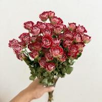 ราคา อากาศแห้งกุหลาบหลายหัวช่อดอกไม้ฟองแห้งกุหลาบอบแห้งดอกไม้จริงขนาดเล็กสดห้องนั่งเล่นการจัดดอกไม้ตกแต่งอุปกรณ์ประกอบฉากยิง (52164413678)