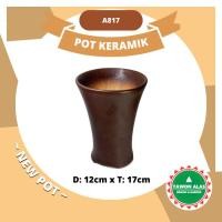 ราคา กระถางบอนไซเซรามิกทรงกลมทรงสูงคาเดมาเมะ (53952148593)