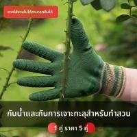 ราคา ถุงมือป้องกันงานสวน กระบองเพชร เกาลัด กุหลาบจีน กันน้ำ กันหนาม สำหรับป้องกันมือจากหนาม งานปลูก และงานตัดแต่ง (47412556622)