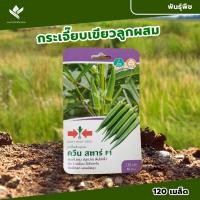 ราคา ศรแดง เมล็ดพันธุ์กระเจี๊ยบ ควีนสตาร์ F1 (East-West Seed) เมล็ดพันธุ์ผัก เมล็ดพันธุ์ ผักสวนครัว ตราศรแดง (24662241878)