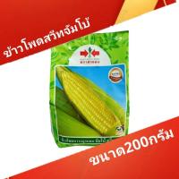 ราคา เมล็ดพันธุ์ข้าวโพดหวาน ข้าวโพดจัมโบ้ สวีท F1 ขนาด 200 กรัม และขนาด 1 กิโลกรัม ฟักใหญ่ รสชาติหวาน (54150969295)