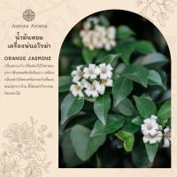 ราคา กลิ่นดอกแก้ว กลิ่น ORANGE JASMINE น้ำหอมเครื่่องพ่นไอน้ำ Aroma Diffuser Fragrance Oil น้ำหอมอโรม่า (23654088376)