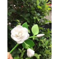 ราคา ดอกพุทดินปั้น ติดผมเจ้าสาวพร้อมส่ง (23179194937)
