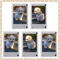 ราคา ภาพถ่าย กรอบ Mini Film Frame - Fujifilm Instax Mini 7S 8 9 11 40 Link Liplay SP-2 (2609523104)