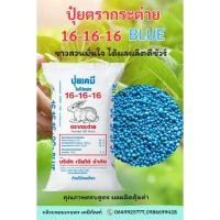 ราคา ปุ๋ยตรากระต่าย สูตร 16-16-16 บลู (เม็ดสีฟ้า) ขนาด 50 กก. (57200546672)