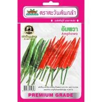 ราคา เมล็ดพันธุ์ พริกอัมพวา 0.3 กรัม/ซอง ตราตะวันต้นกล้า (6025866496)