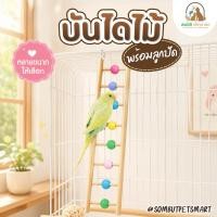 ราคา บันไดไม้นกพร้อมลูกปัดสี ของเล่นปีนป่ายแขวนกรง มีตะขอ 2 จุด หลายขนาด 16–36 ซม. สำหรับหงส์หยก ฟอพัส เลิฟเบิร์ด (44133027910)