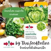 ราคา ตราศรแดง GGEW เมล็ดพันธุ์ บัตเตอร์เฮด เบลล่ากรีน 40เมล็ด ตราศรแดง Butterhead Bella Green (22254556903)
