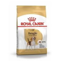ราคา Royal canin Beagle Adult อาหารสุนัขโต พันธุ์บีเกิ้ล 12 กิโลกรัม (5492268253)