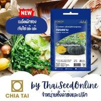 ราคา CTSE เมล็ดพันธุ์ ฟักทอง ทองสยาม 1กรัม ตราเจียไต๋ Thong Siam Pumpkin Seeds (55207370873)