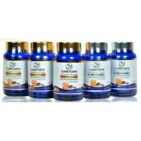 ราคา ถั่งเช่า JY Cordyceps ถังเช่าสกัดผสมหลินจือ บรรจุ 30 แคปซูล (2097942298)