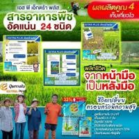 ราคา เอ็กตร้าพลัส ปุ๋ยทางใบ ปุ๋ยน้ำ ปุ๋ยเกล็ด ปุ๋ยอินทรีย์ ปุ๋ยเร่งดอก ปุ๋ยกุหลาบ extraplus (27211895285)