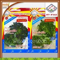 ราคา เมล็ดพันธุ์ผักสลัด กรีนโอ๊ค เรดโอ๊ค 3A (แบบซอง) เมล็ดสลัดคอส สลัดคอสม่วง ผักกาดหอม เมล็ดพันธุ์ผักสวนครัว ตราสามเอ (15553069653)