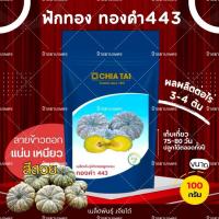 ราคา เมล็ดพันธุ์ ฟักทอง ทองคำ443 เจียไต๋ 100กรัม ฟักทองลายข้าวตอก (41429736092)