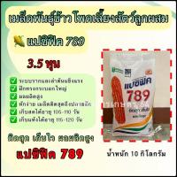 ราคา เมล็ดพันธุ์ข้าวโพดเลี้ยงสัตว์ แปซิฟิค789 เม็ด 3.5 หุน 10 กิโลกรัม ติดสุด เก็บไว ผลผลิตสูง (22285961603)