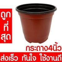 ราคา กระถางต้นไม้ สีน้ำตาล แบบนิ่ม 4 นิ้ว กระถางต้นไม้ กระถางพลาสติก กระถาง ปลูกต้นไม้ ถาดเพาะเมล็ด ปลูกผัก (แบบนิ่ม) (10303685215)