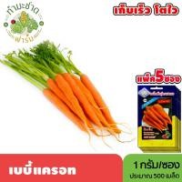 ราคา [แพ็ค 5 ซอง] 3A เมล็ดพันธุ์ เบบี้แครอท ขนาดซองละ1กรัม ประมาณ500เมล็ด/ซอง BABY CARROT แครอต แครอท เมล็ดพันธุ์พืช เมล็ดผัก (6637545453)
