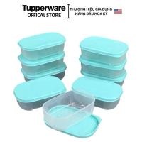 ราคา Tupperware Mini Freezermate Freezer Box 140ml - สินค้าของแท้-Bimtup (53454934017)