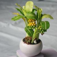 ราคา กระถางต้นกล้วยงานดินปั้น สูง 8" ถวายสิ่งศักดิ์สิทธิ์ หรือตั้งโต๊ะทำงานได้ (6610995380)