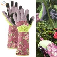ราคา ถุงมือทําสวน Unisex ยาว Forearm ถุงมือตัดแต่งกิ่ง Thorn Proof Protection Gauntlet ความปลอดภัยถุงมือทํางาน SHOPTKC6148 (28537102650)