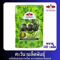 ราคา ฟักทอง ถุงทอง เมล็ดพันธุ์ ตราศรแดง บรรจุ 500เมล็ด (50012005457)