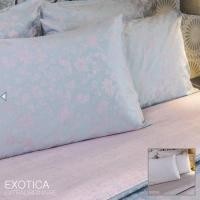 ราคา EXOTICA รุ่น Daisy ชุดผ้าปูที่นอนรัดมุม + ปลอกหมอน ขนาด 6 / 5 / 3.5 ฟุต (4288715932)