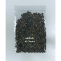 ราคา ขี้เหล็ก พันธ์ยอดขาว เมล็ดใหม่ อัตรางอกสูง (100เมล็ด) (4291195105)