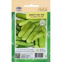ราคา เมล็ดพันธุ์ แตงกวา แบมแบม ตราเจียไต๋ (26777962962)