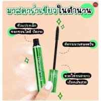 ราคา มาสคาร่าเขียวB.Q. Cover Perfect Eyelash Mascara (21071250585)