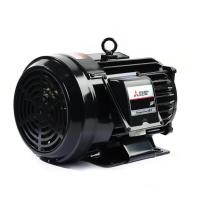 ราคา มอเตอร์มิตซูบิชิ MITSUBISHI รุ่น SF-QR กำลัง 3 แรงม้า 4P ไฟฟ้า 3 เฟส 220/380V(LT) IP55 (23628161374)