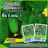 ราคา 3แถม1เมล็ดพันธุ์แตงกวาไร้ค้าง แม่ลูกดก 100เมล็ด เมล็ดพันธุ์แตงกวา เมล็ดพันธุ์ผักสวนครัว ปลูกง่ายให้ผลผลิตสูง (14396769693)