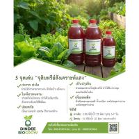 ราคา >>พร้อมจัดส่ง<< จุลินทรีย์สังเคราะห์แสง (PSB) เร่งการเจริญเติบโตของพืช ปลอดสารเคมี ขนาด 1.5 ลิตร (54054366922)