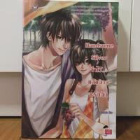 ราคา นิยายมือสอง Handsome Silver จำไว้...แล้วนายจะรักฉัน มีห่อปกใสหุ้ม สภาพ 99% (6124069753)