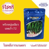 ราคา พริกหนุ่มเขียว นพเก้า 72 เมล็ดพันธุ์ พริก หนุ่มเขียว ตรา เจียไต๋ ลูกผสม บรรจุ 50 กรัม (53300731596)
