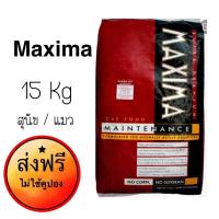 ราคา ส่งฟรี MAXIMA แมนเทนแนนซ์ อาหารแมว 15 kg (3834913442)