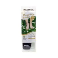ราคา เฮลโลฮีล แผ่นรองเท้ากำจัดกลิ่นสีดำ Hello Heel Deodorizing Insoles Black 1Pcs. (48009453491)